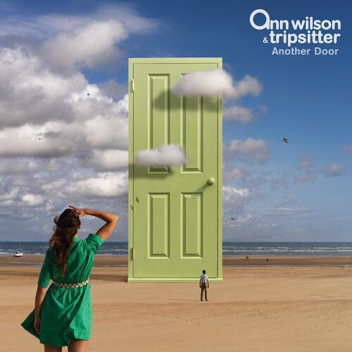 Ann Wilson - Another Door vinyl cover