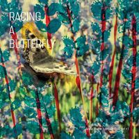 Anne Mette Iversen Quartet +1 - Racing A Butterfly vinyl cover