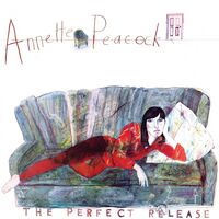 Annette Peacock - The Perfect Release vinyl cover