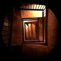 Ant Orange - Arkupe vinyl cover