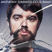 Anthony D'amato - Cold Snap vinyl cover