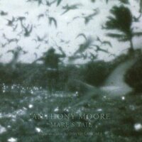 Anthony Moore - Mare's Tail vinyl cover