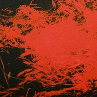 Anthony Naples - In Studio Magic vinyl cover