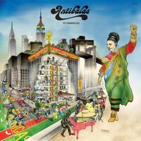 Antibalas - Fu Chronicles vinyl cover