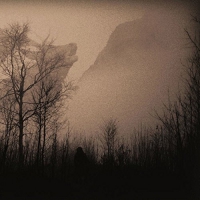 Antlers - Gaze Into The Abyss vinyl cover