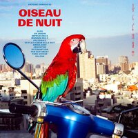 Antoine Corriveau - Oiseau de nuit vinyl cover