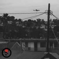 Antwon - Double Ecstasy vinyl cover