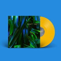 Anushka Chkheidze & Robert Lippok - Uncontrollable Thoughts vinyl cover