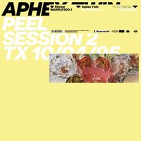 Aphex Twin - Peel Session 2 vinyl cover