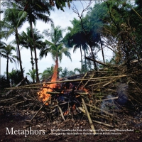 Apichatpong Weerasethakul - Metaphors: Selected Soundworks From The Cinema vinyl cover