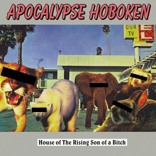 Apocalypse Hoboken - House of The Rising Son of A Bitch (Silver) vinyl cover