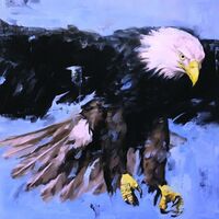 Aquarius - Soulquencies vinyl cover