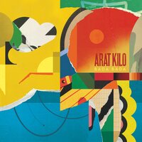 Arat Kilo - Danama vinyl cover