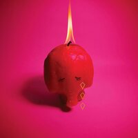 Arcade Fire - Pink Elephant vinyl cover