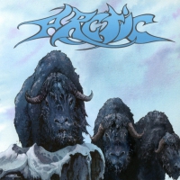 Arctic - Arctic vinyl cover