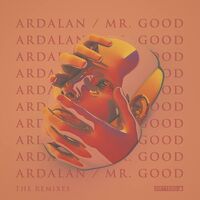 Ardalan - Mr. Good - The Remixes vinyl cover