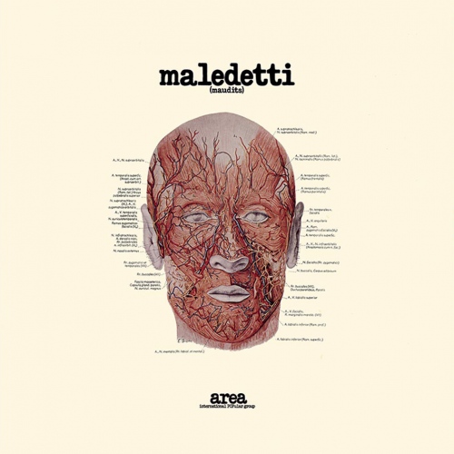 Area - Maledetti vinyl cover
