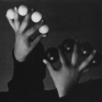 Arnold And The Orchesta Of Excited Strings Dreyblatt - Propellors In Love vinyl cover