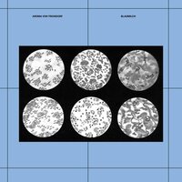 Aroma Von Troisdorf - Blaumilch vinyl cover