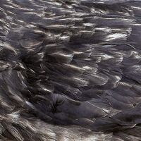 Arstidir - Árstíðir vinyl cover