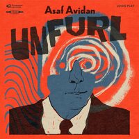 Asaf Avidan - Unfurl vinyl cover