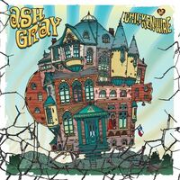 Ash Gray - Chicken Wire vinyl cover