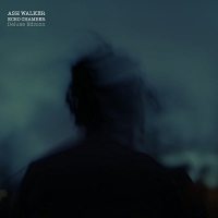 Ash Walker - Echo Chamber Deluxe vinyl cover