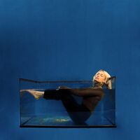 Ashe - Save Myself vinyl cover