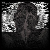 Asher Levitas - Lit Harness vinyl cover