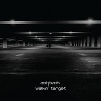 Ashtech - Walkin' Target vinyl cover