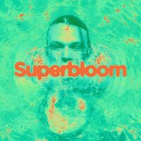 Ashton Irwin - Superbloom vinyl cover