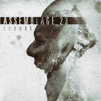 Assemblage 23 - Endure vinyl cover