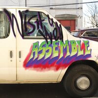 Assemble - Wish You Well vinyl cover