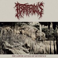 Astriferous - The Lower Levels Of Sentience vinyl cover