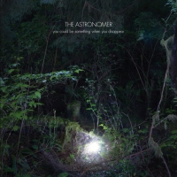 Astronomer - You Could Be Something When You Disappear vinyl cover