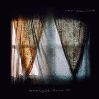 Attic Abasement - Moonlight Passes on vinyl cover