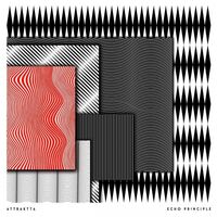 Attraktta - Echo Principle vinyl cover