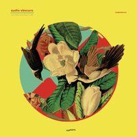 Audio Obscura - Acid Field Recordings In Dub vinyl cover