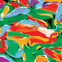 Auntie Flo - Birds Of Paradise vinyl cover