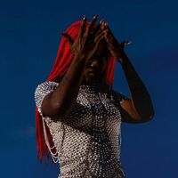 Aunty Rayzor - Viral Wreckage (Red) vinyl cover