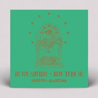 Aura Safari - Sensory Blending vinyl cover