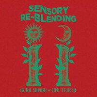 Aura Safari - SEnsory Re-Blending vinyl cover