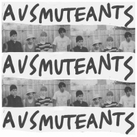 Ausmuteants - Amusements vinyl cover