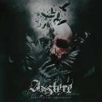 Austere - Beneath the Threshold vinyl cover
