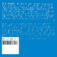Autechre - Quaristice vinyl cover