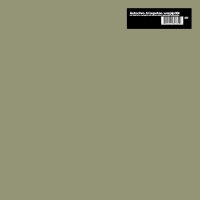 Autechre - Tri Repetae vinyl cover