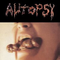 Autopsy - Shitfun (30th Anniversary; Brown Marble) vinyl cover