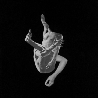 Autumns - Suffocating Brothers vinyl cover