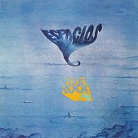Ave Rock - Espacios vinyl cover
