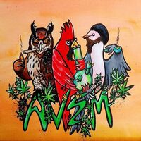 Avem - Three Birds Stoned vinyl cover